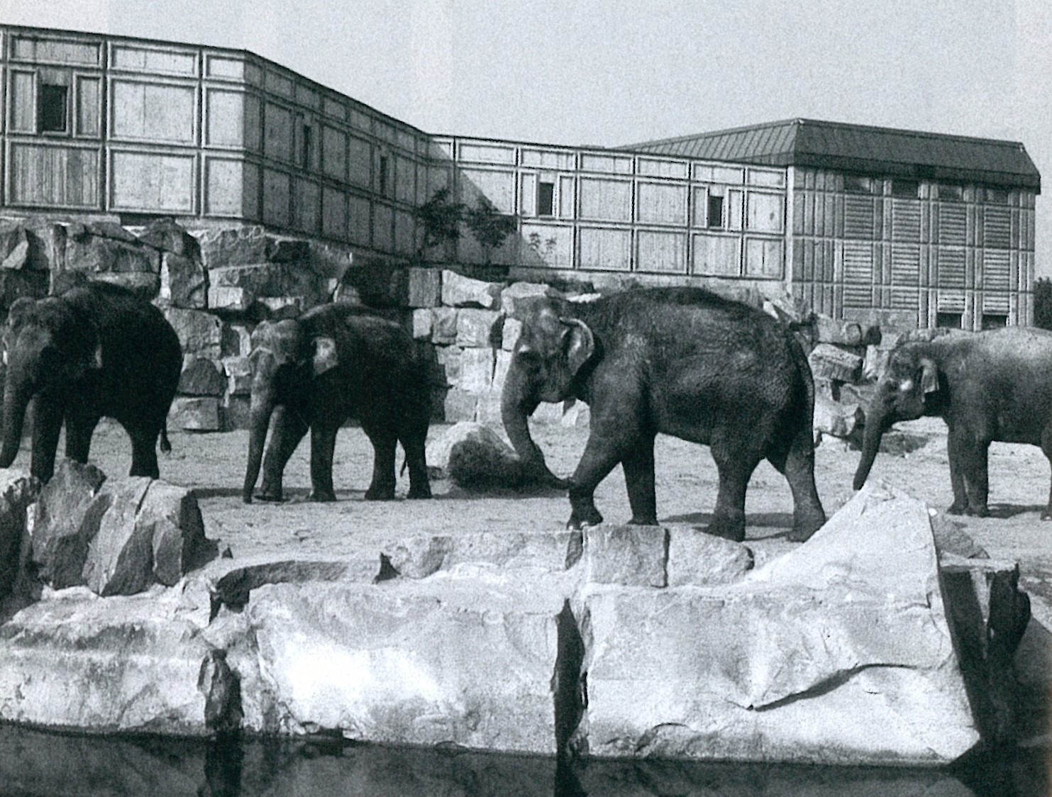 Zur Geschichte vom Tierpark Berlin