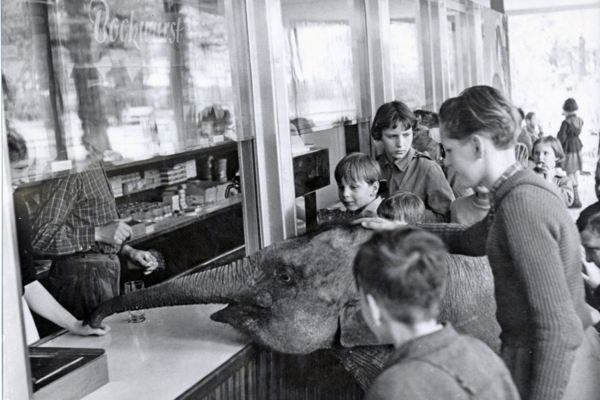 Tierpark Berlin – 70 Jahre einer tierischen Oase